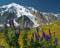 The Uimon Valley and Tungur