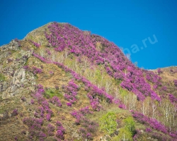 The Uimon Valley and Tungur