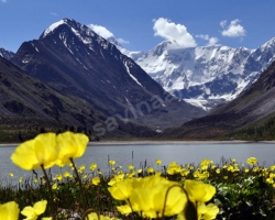 Belukha, Kucherla, Darashkol