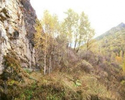 Soloneshnoe