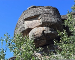 Belokurikha