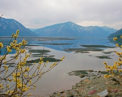 The Teletskoye Lake
