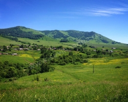 Soloneshnoe