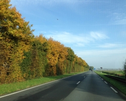 Holland. Janosh. Seminar "The Whole Way" from 22 to 26 October 2015