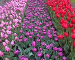 Holland. Janosh. Seminar "From Sexuality to Love to Self" from 22 to 25 April 2016