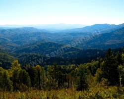 Belokurikha