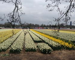 Holland. Janosh. Seminar "Keys to Abundance" from April 23 to 25, 2015