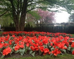 Holland. Janosh. Seminar "From Sexuality to Love to Self" from 22 to 25 April 2016