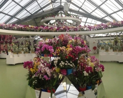 Holland. Janosh. Seminar "From Sexuality to Love to Self" from 22 to 25 April 2016