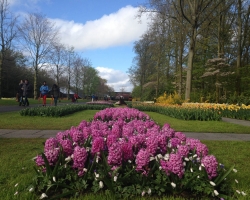 Holland. Janosh. Seminar "From Sexuality to Love to Self" from 22 to 25 April 2016