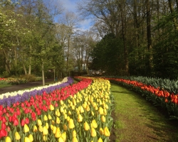 Holland. Janosh. Seminar "From Sexuality to Love to Self" from 22 to 25 April 2016