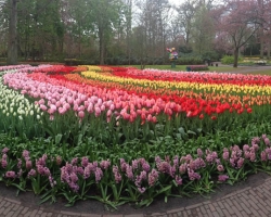 Holland. Janosh. Seminar "From Sexuality to Love to Self" from 22 to 25 April 2016