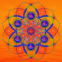 Deep Rooted Awakening