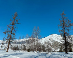 Алтай. Тренинг "Перезагрузка у подножия Белухи" с 09 по 16 февраля 2025 года